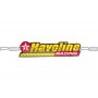 Наклейка   HAVOLINE  (13х3см)