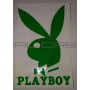 Наклейка   логотип   PLAYBOY   (11x8см, зеленая)   (647)