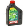 Масло   2T, 2л   (полусинтетика, для садовой техники, HI-TECH, API TC)   MOTUL   (101307)